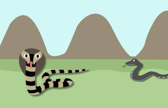 老鼠和蛇属相合不合相配吗 属鼠和属蛇的婚姻怎么样_达一风水网