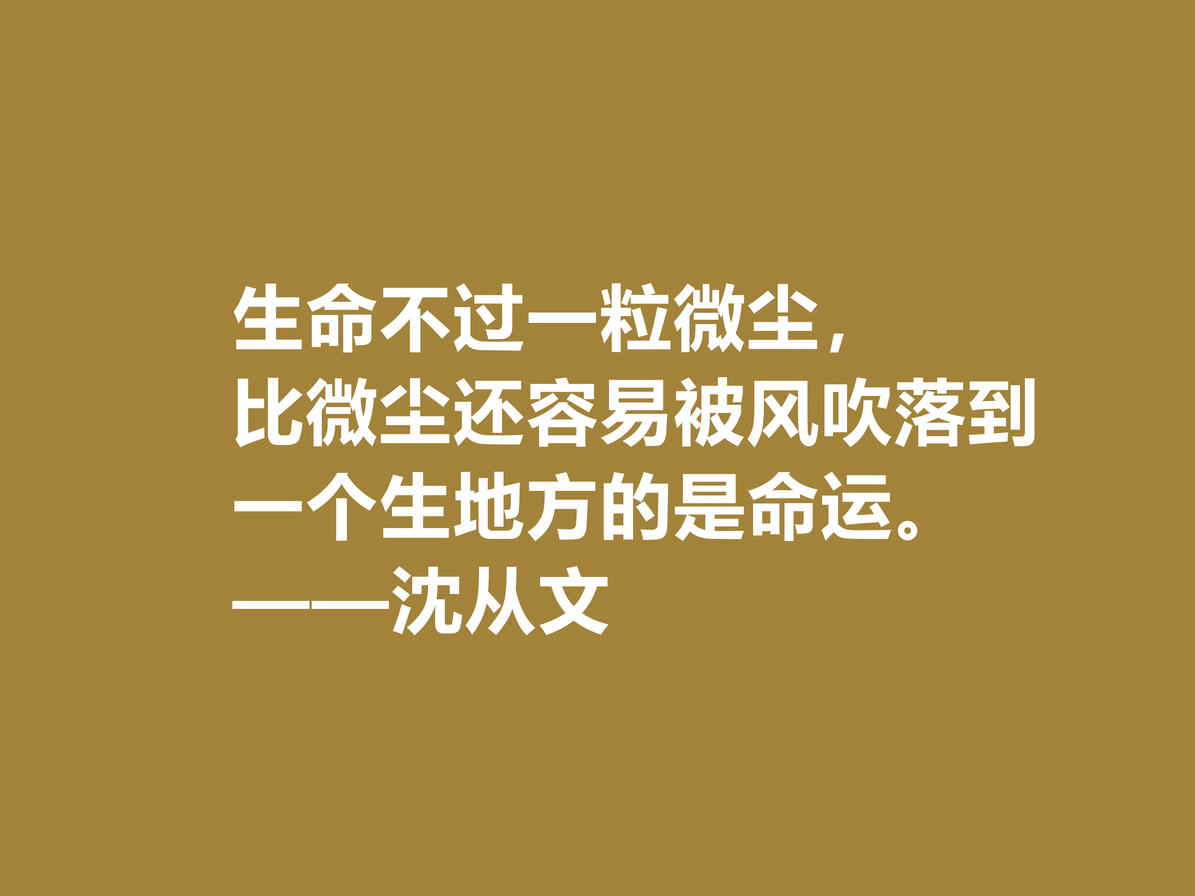 深爱沈从文的小说，细品他十句格言，文化底蕴深厚，凸显其人生观