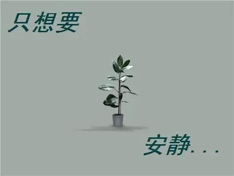 一个人呆着,看着电脑,看着手机,发呆,没有理由,没有借口,只想安静的呆