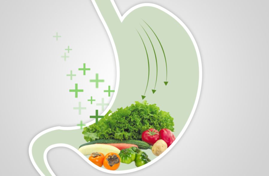 和治友德 | 健康素食日：合理荤素配比 科学健康养生