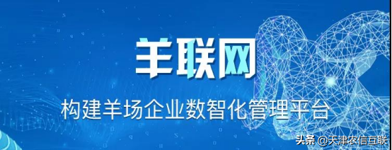 赛诺羊业+羊联网 用数智助力种羊产业转型升级