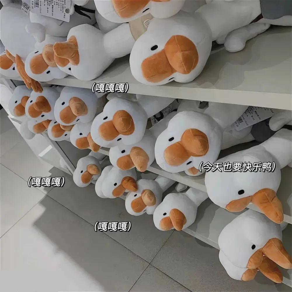 关于春分的朋友圈 / 说说文案