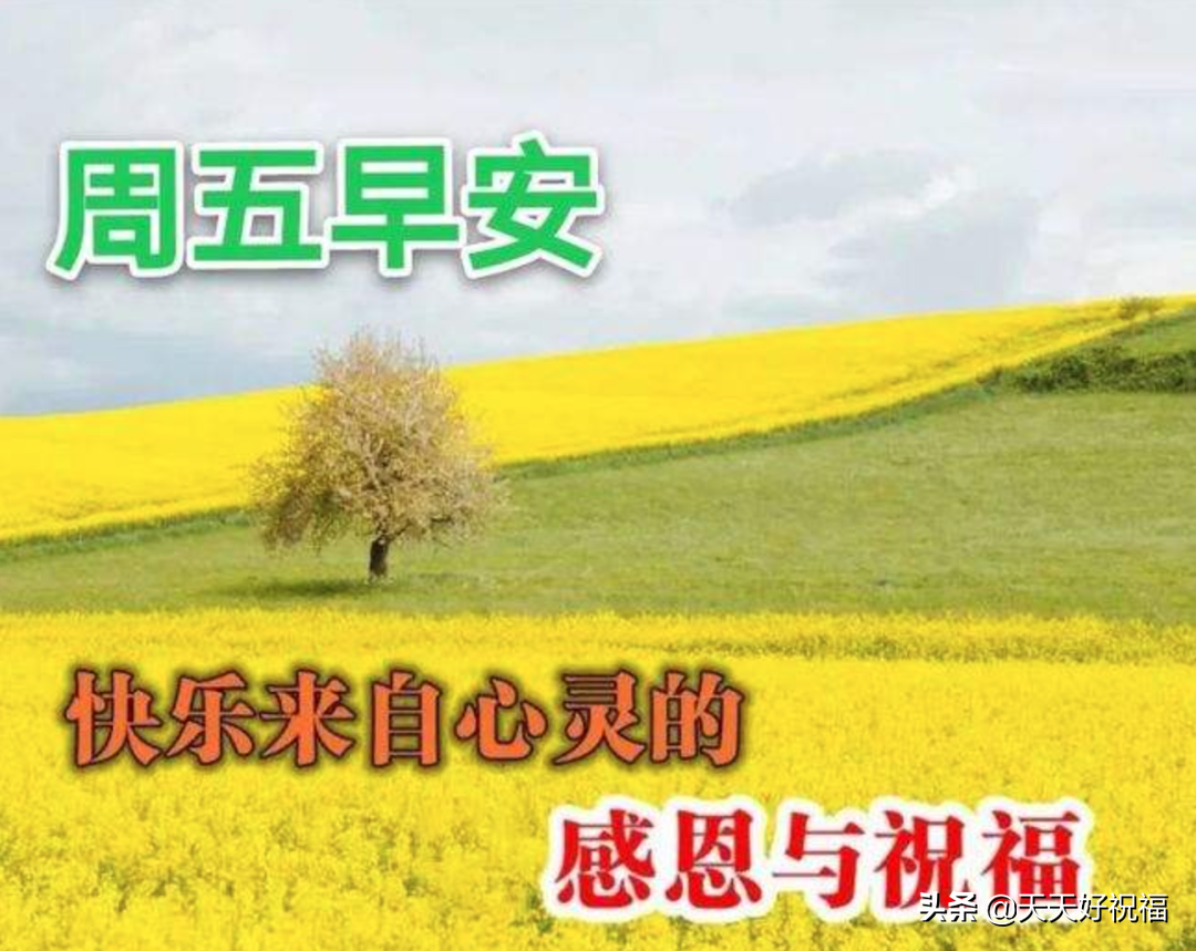 清晨唯美早安问候语温馨句子大全，周五早晨好特漂亮祝福图片分享