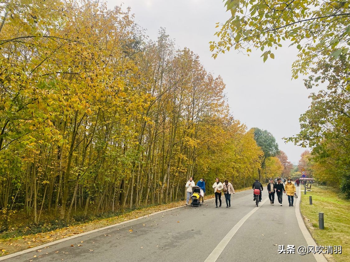 人民公园有篮球场吗(成都排名前5的公园，最小也有1800亩，西边和北边没上榜一个)