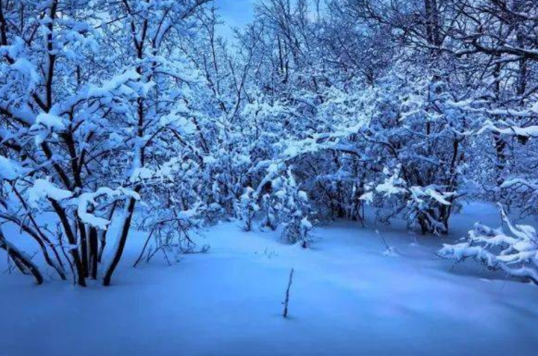 90后人大才女，不顾批评做裸模，衣不蔽体接受采访，今回归家庭