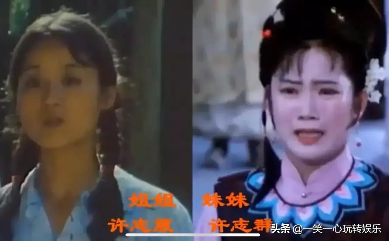 鲜为人知的明星亲姐妹，田歌田岷同框难分清，王馥荔妹妹也是演员