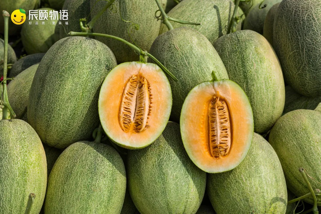 辰颐物语:海南西州蜜——哈密瓜中的"爱马仕",清甜如蜜