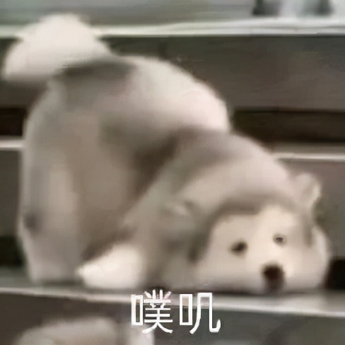 大洗牌15年，看看是谁红到了最后？