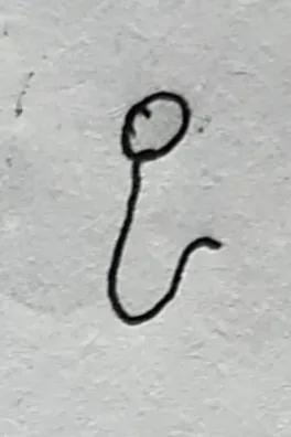 ʲôФģ1958-Ʊ֪ʶѧϰ