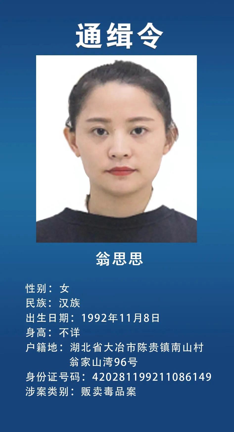 网上通缉犯,网上通缉犯怎么查