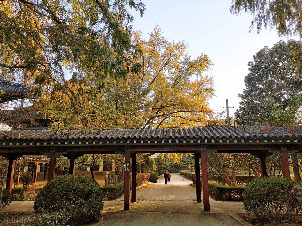 江苏省内有师范类专业的本科院校排名