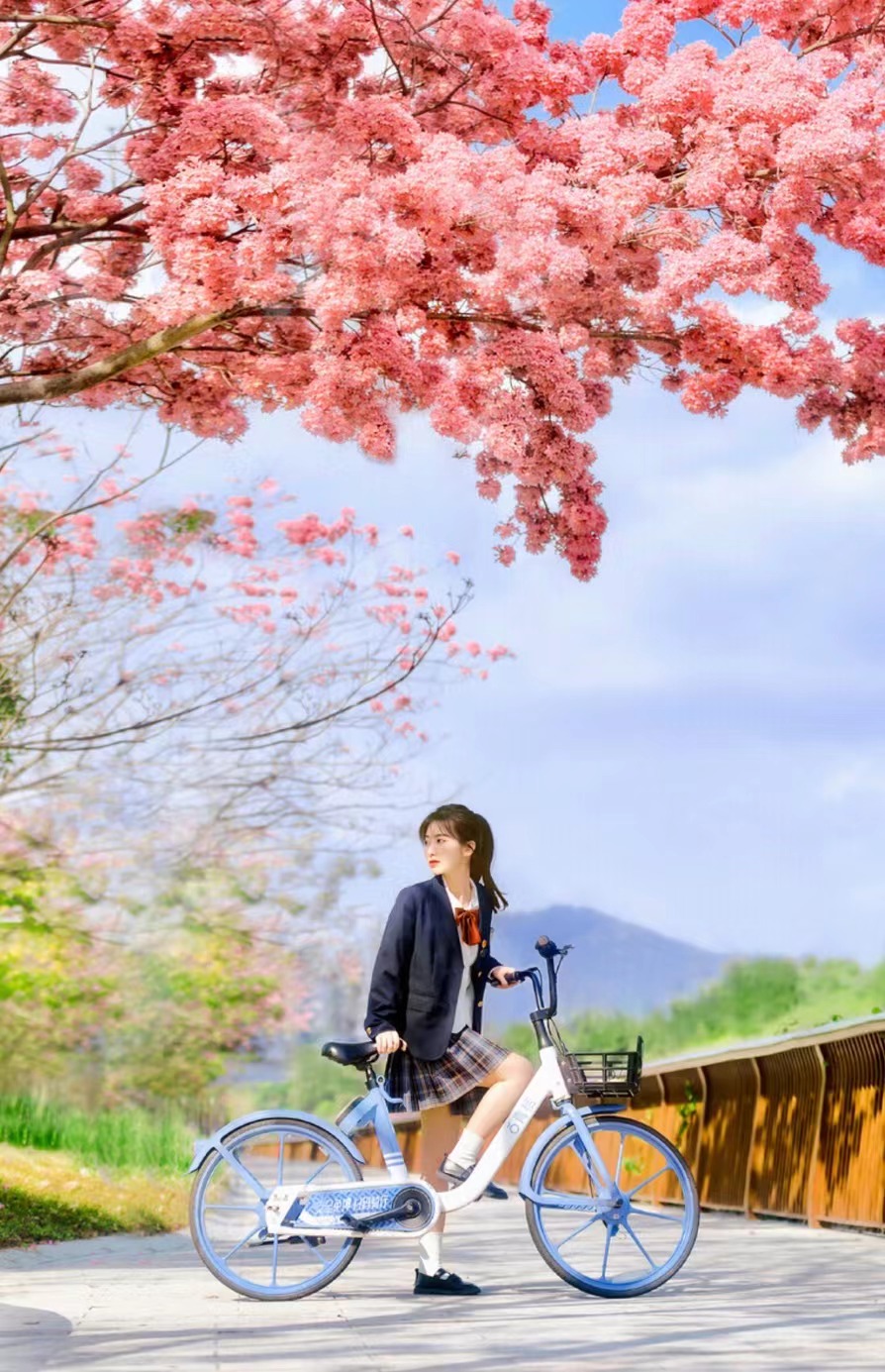 写人物和景物优美的句子