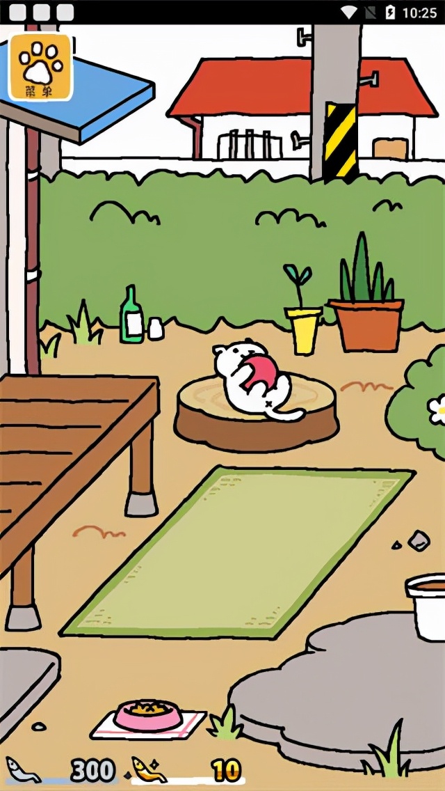 猫咪后院 攻略