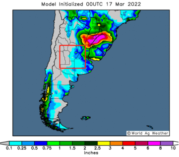 牛钱豆粕周报（2022.3.18）
