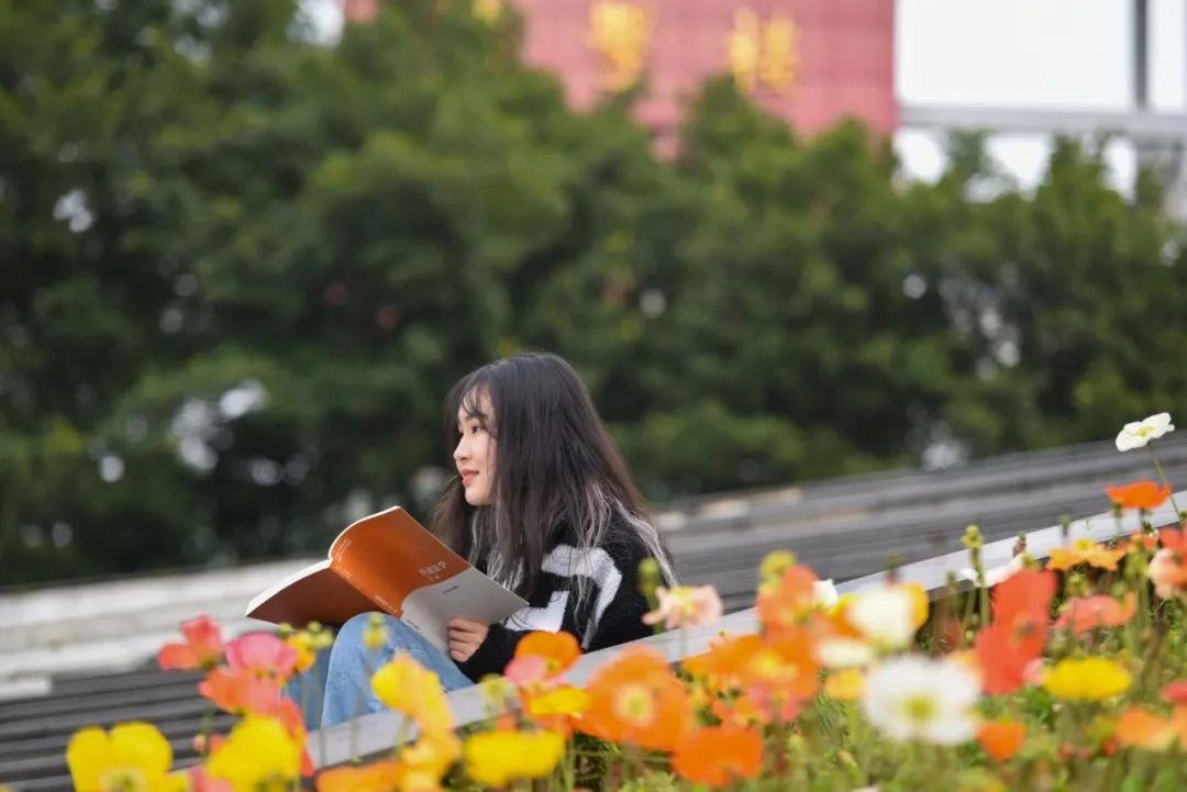 最新！教育部印发通知，西南政法大学新增2个本科专业！