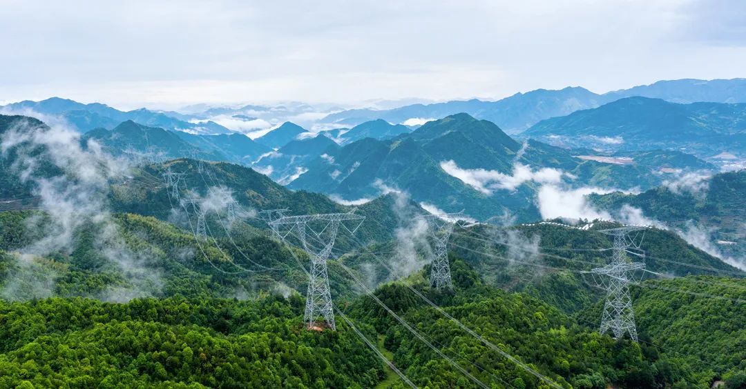 非凡十年丨不负绿水青山 之江勇立潮头