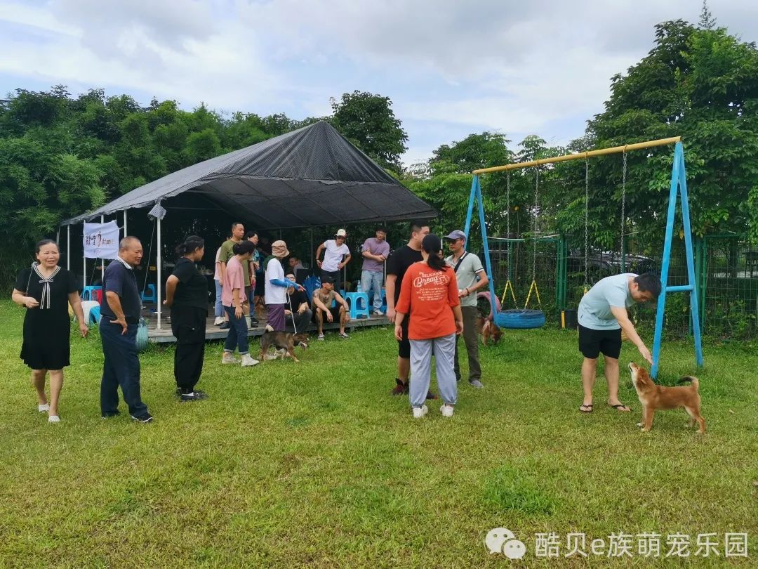 宠爱有家 夏日派对丨酷贝E族