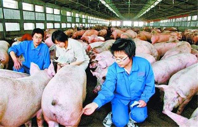 中国最有钱的10个人，女富豪日赚四千万，捐款60亿