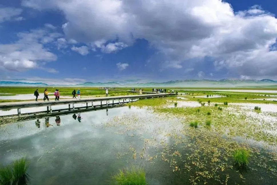 定了！4月28日，黄河九曲第一湾景区、花湖生态旅游区开门啦