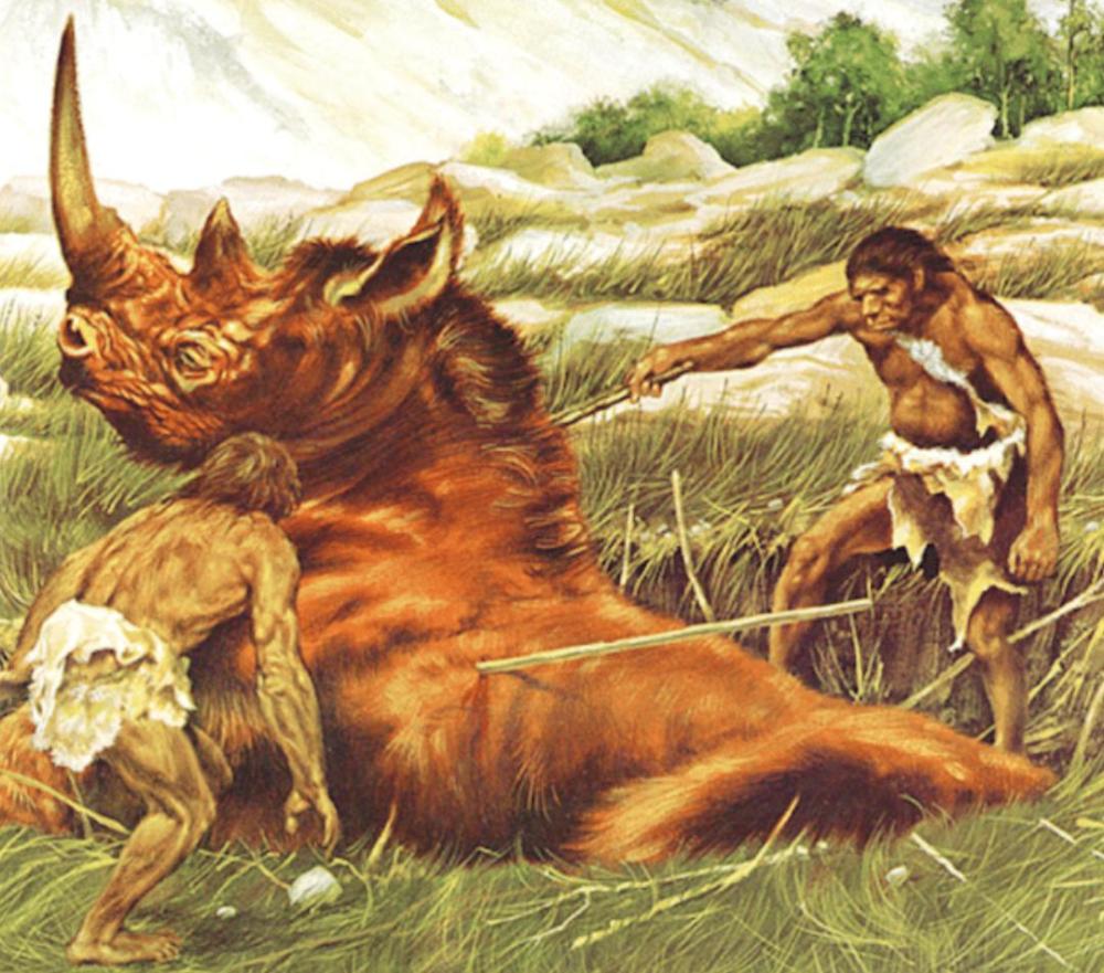 每一个人类都是由女性生的,那么世界上第一个女性,是从哪来的?