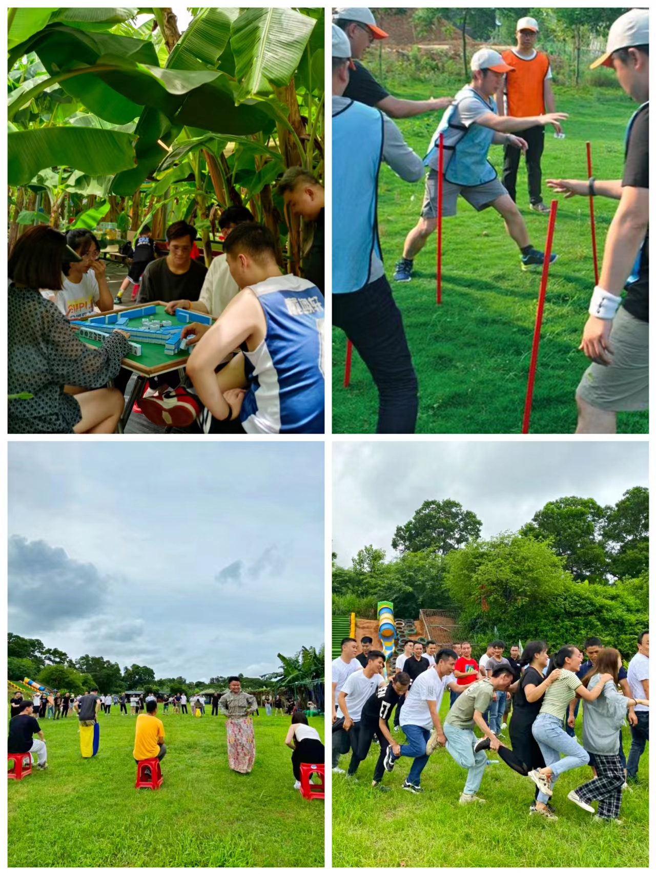趁夏日，出去野｜夏日田园农场净化心灵的一次旅行