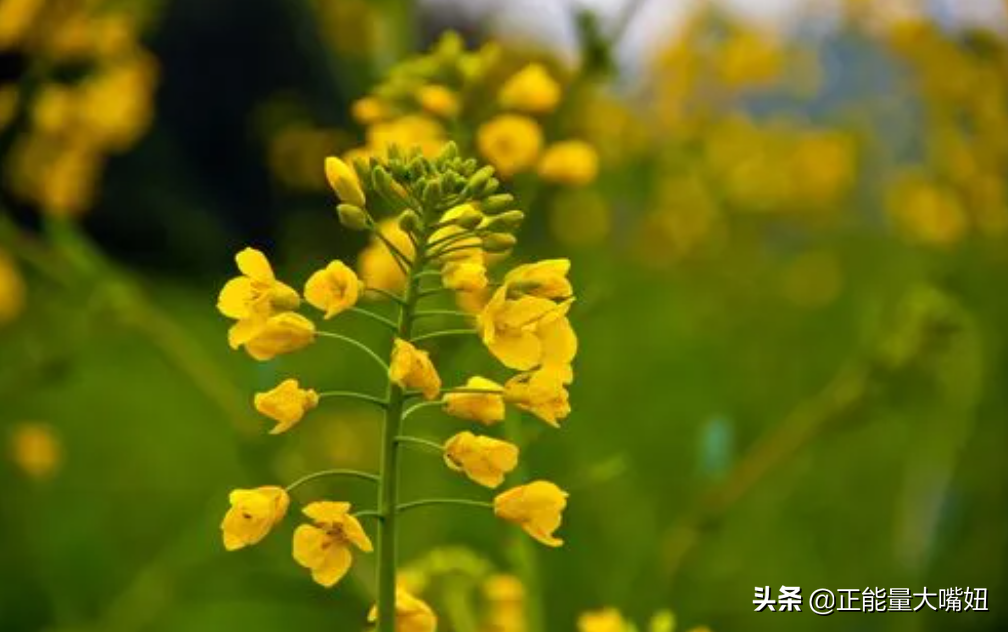 勇于面对自己的过失