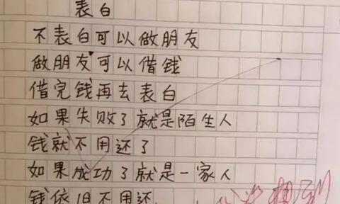 《我的小姨》一片小学生作文