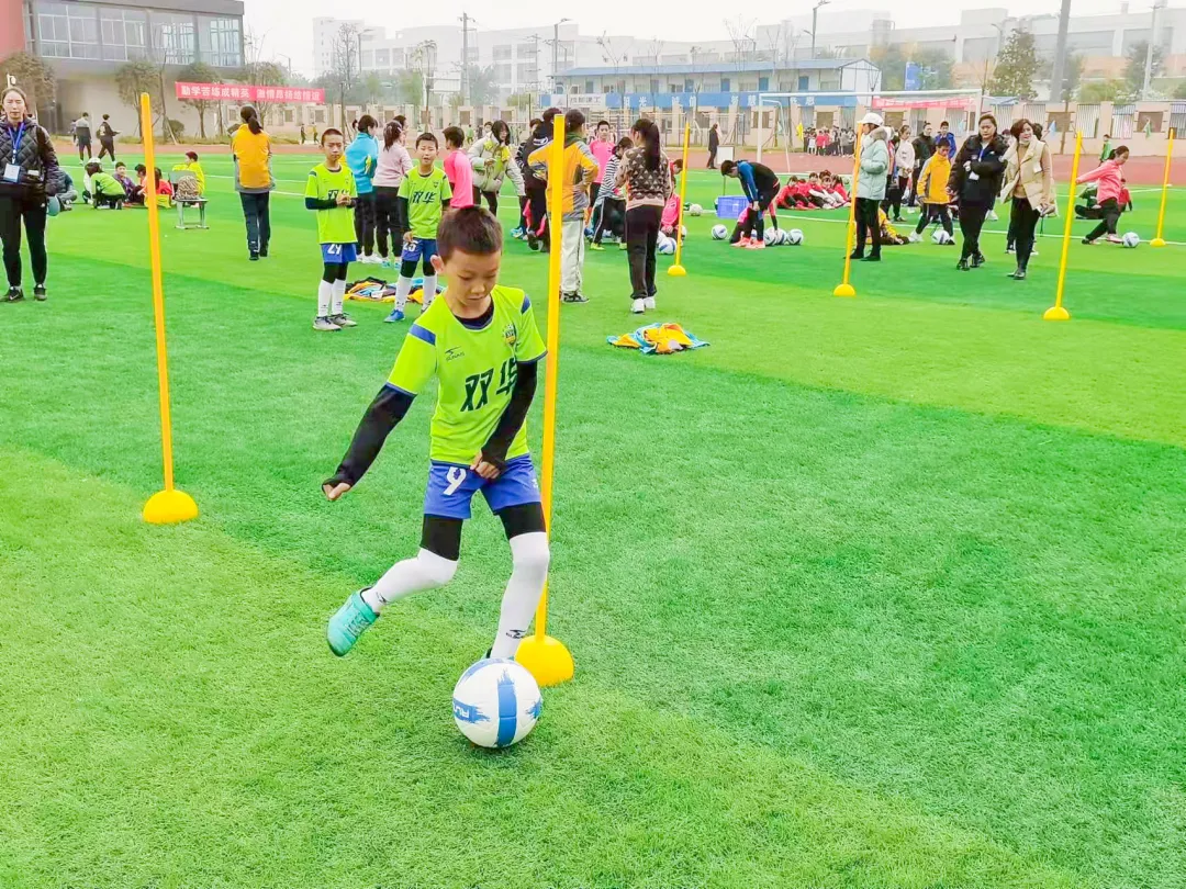 双华小学参加双流区第十六届学校体育集体项目运动会喜获佳绩