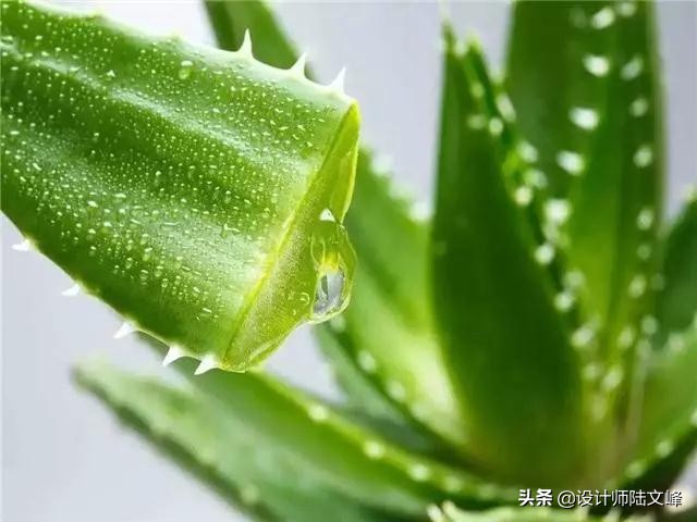 同五星酒店学的6个卫生间设计，一定要无主灯，一定要入墙式设计