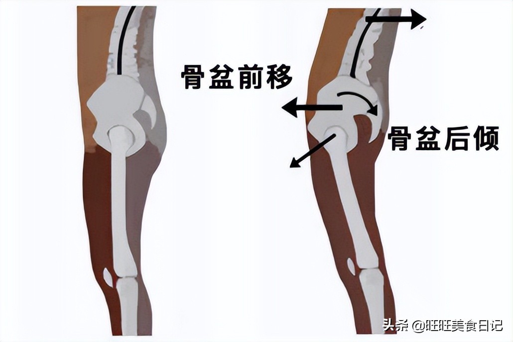 肚子大？这6个原因你应该知道！该如何减肥，都给你列出来了