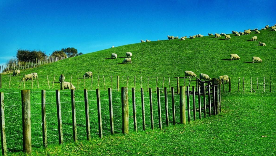 �Ծ��ú���Ϊ�ն����ܲ��ܲ�ɢ���������ˡ���