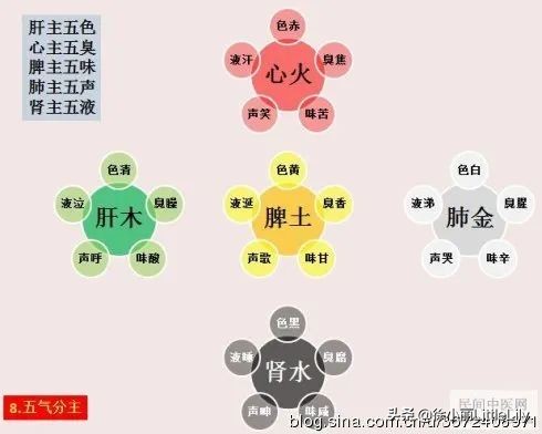 形象理解人体小宇宙运动