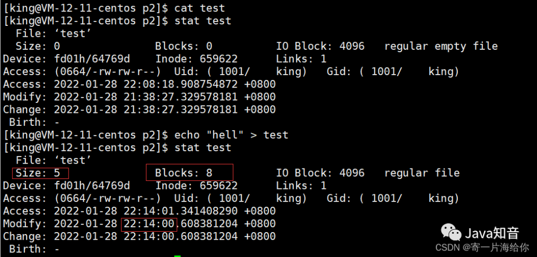 万字详解 Linux 常用指令（值得收藏）