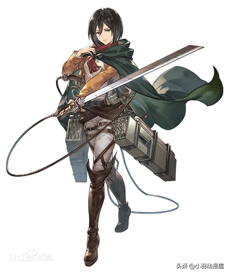 top5 三笠·阿克曼