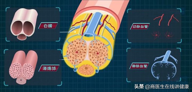 患糖尿病之后，会不会影响性功能？听医生怎么说