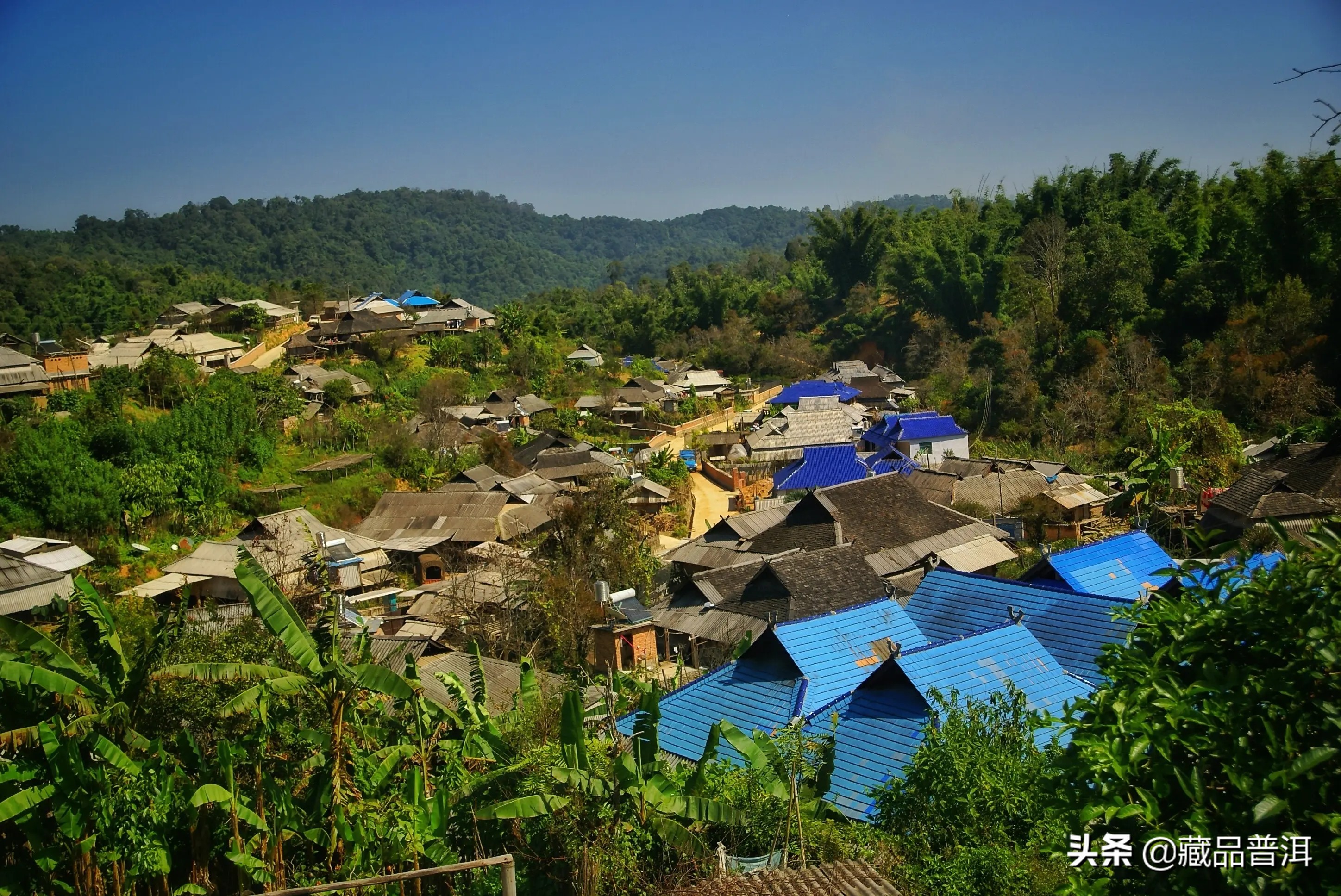 一,名不见经传的老班章村