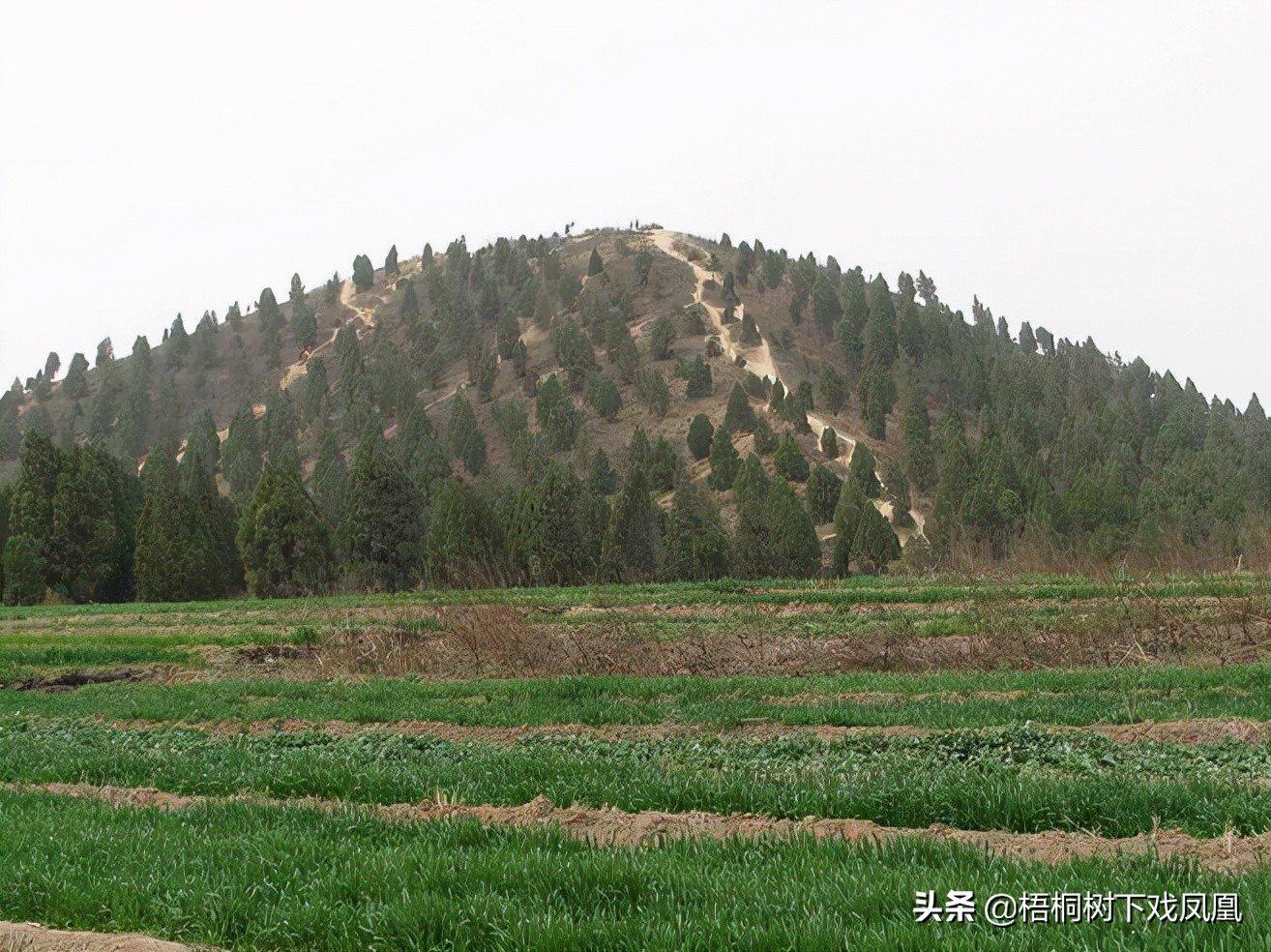 汉武帝陵被盗多次，考古专家最想要的古物应还在，古时盗墓者不要