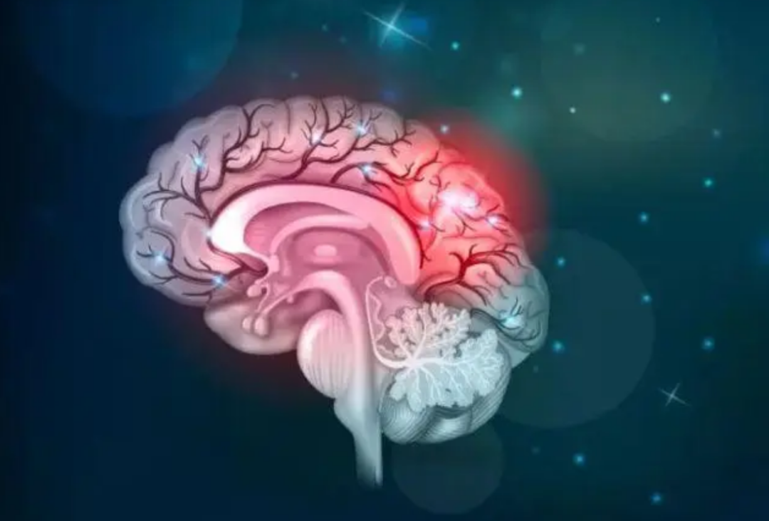 烹煮都杀不死的朊病毒，致死率100%无药可救！感染后有多恐怖？