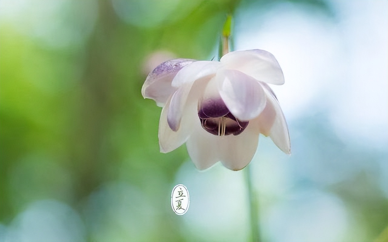 不再隱瞞：3個坑人的&ldquo;養生建議&rdquo;，都是假的，不要再被誤導了