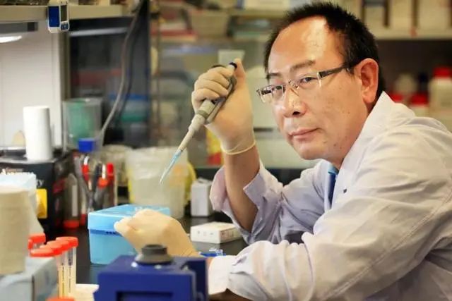 杨维才院士：专研农业“芯片”的领头人