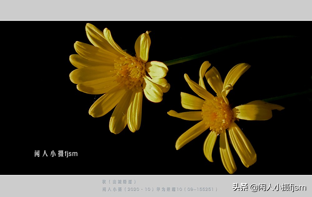 分辨率多少合适图片（修图分辨率多少合适）