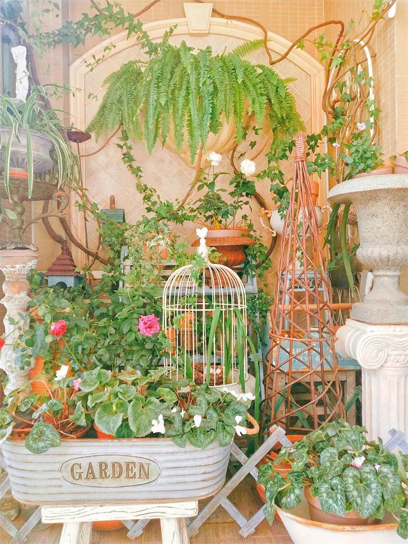 阳台花园，在这个面积不大的地方造梦，美了岁月，醉了时光