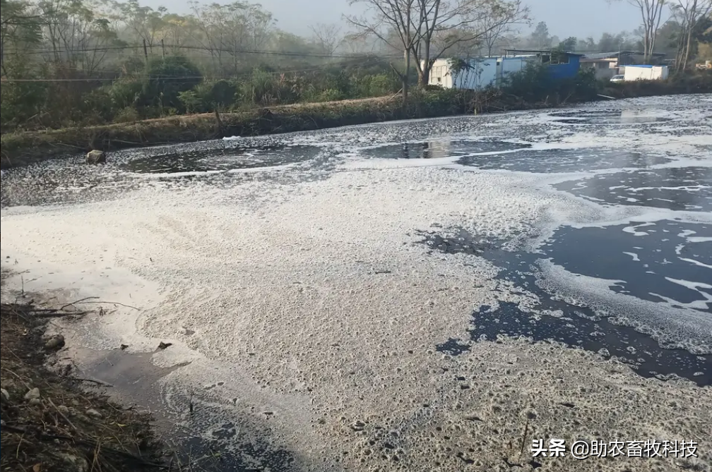 运用微生物（益生菌）除臭剂进行废水处理好处多