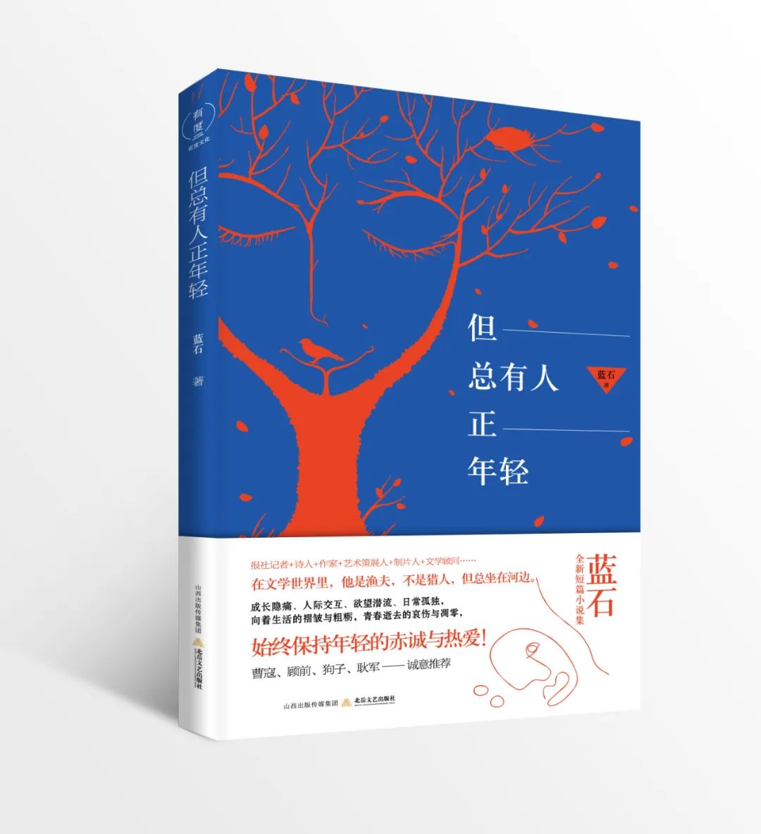 蓝石新书《但总有人正年轻》：故乡是青春的葬身之地