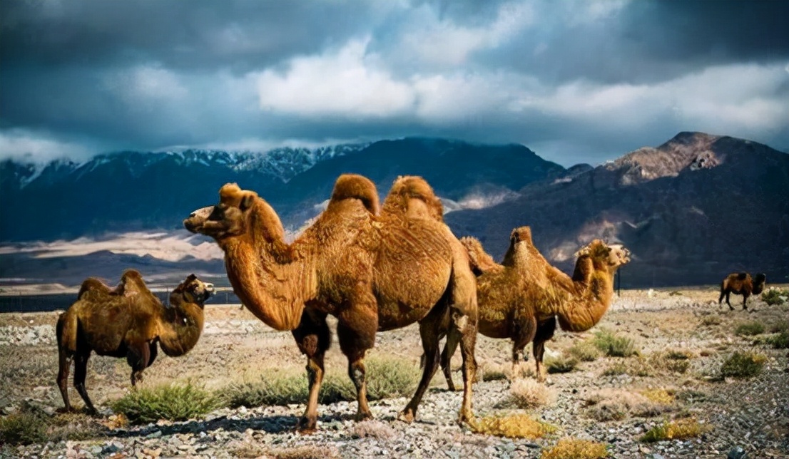 �������������٣���׼���µļ�����Ϣ�������򲻵�������