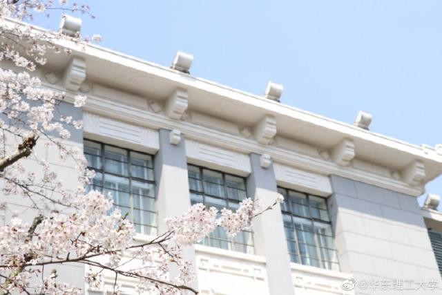 拥有70年历史！上海这所高校：种下最“特殊”的三棵树，价值连城！