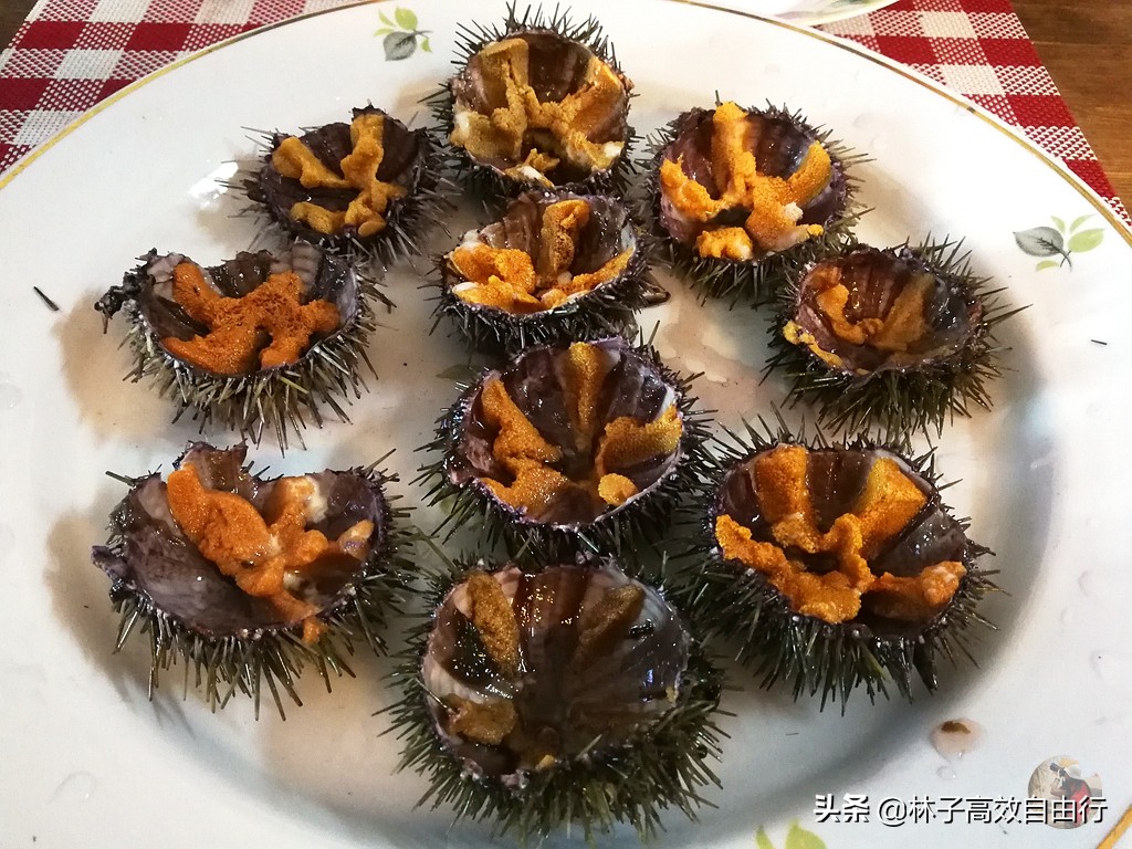 一个在俄罗斯追光成功的游客告诉你：除去运气，追极光其实并不难