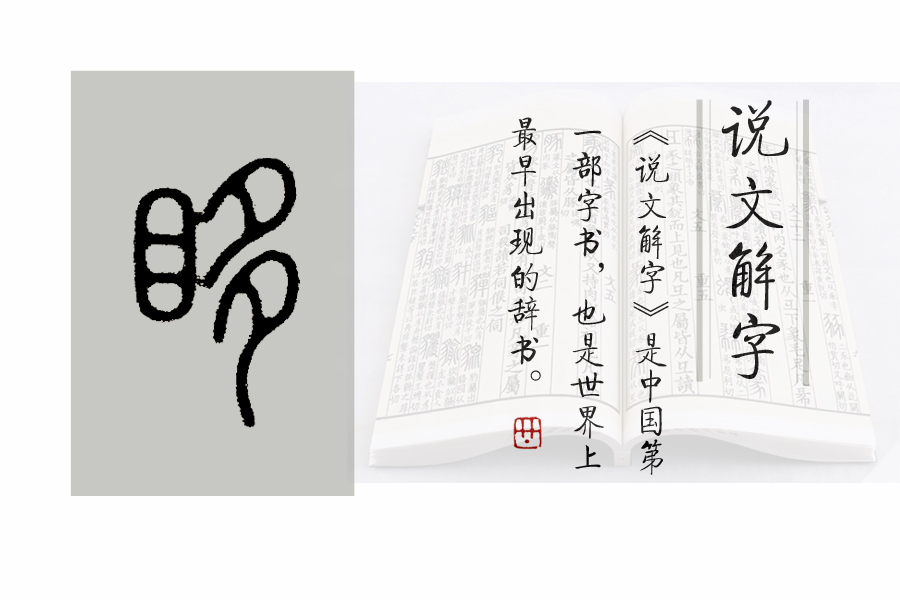 瞥怎么读（《说文解字》第661课：“瞥了一眼”的“瞥”）