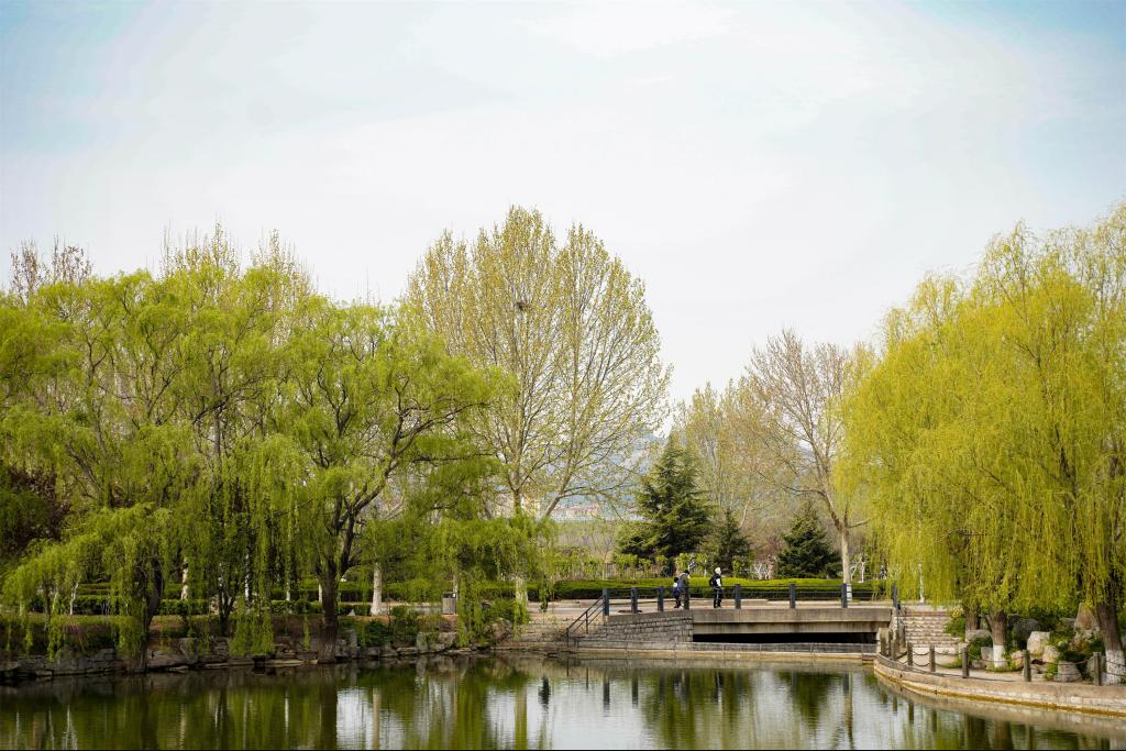 美术统考236分！报考山东艺术学院需要高考文化成绩多少分？