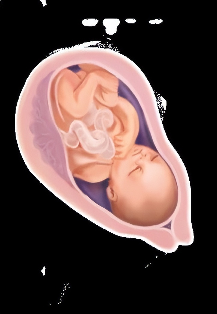 孕25周是几个月,孕25周是几个月_友友